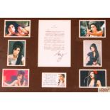 Amy Winehouse, autographed re-hab collage with cer