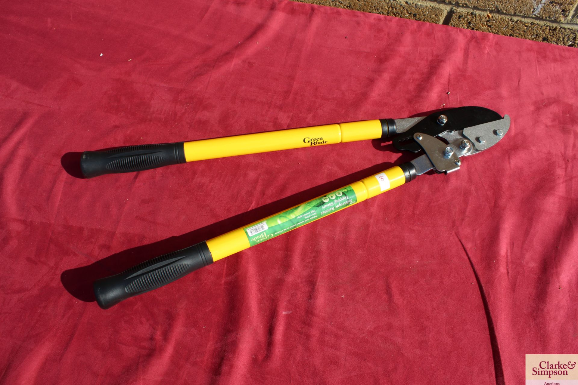 Telescopic Ratchet Loppers. V