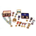 A collection of various medallions and regalia, relating to the Royal Antediluvian Order of