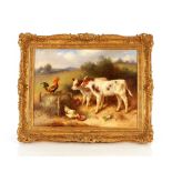 Walter Hunt 1861-1941, study of calves and chickens feeding in rural landscape with a cockerel