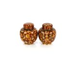 A pair of cloisonné ginger jars, with multi floral decoration, 15cm high