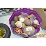 A box containing various shells and fossils etc.