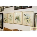 Four coloured ornithological bird prints titled wi