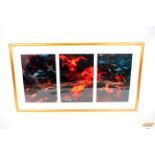 Jo Damsell, limited edition triptych print, Lake E