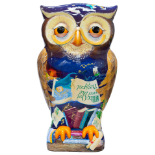 Owl Tell You A Story by Emma Graham. Sponsored by Suffolk Archives at The Hold.