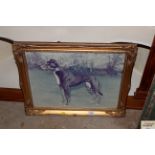 A gilt framed photographic print of a greyhound "cuddles galore"