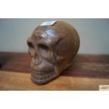 A cast iron skull (91)