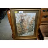 An A D Palmer watercolour depicting a woodland sce