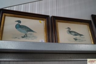 Two prints depicting geese