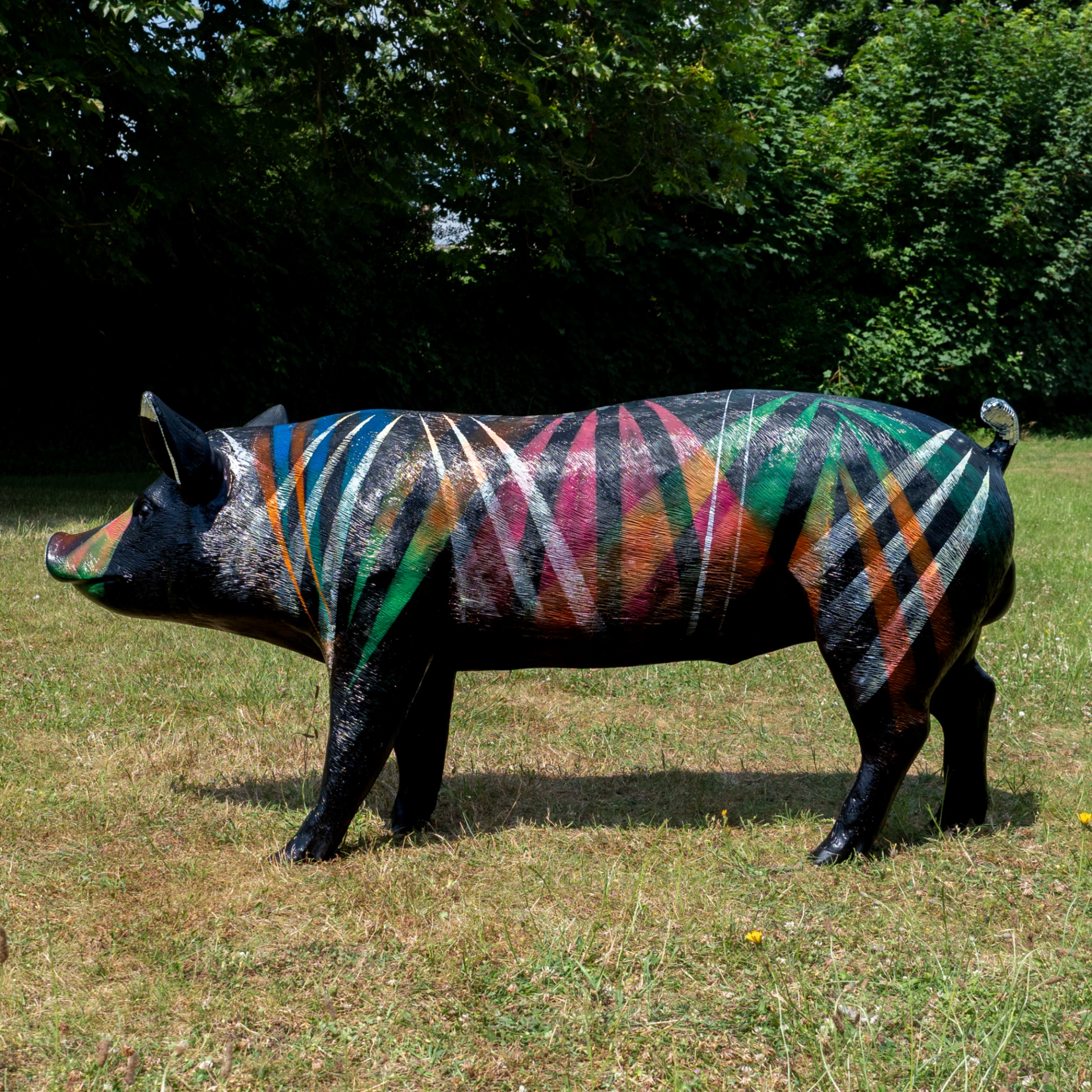 Disco Pig - Image 2 of 7