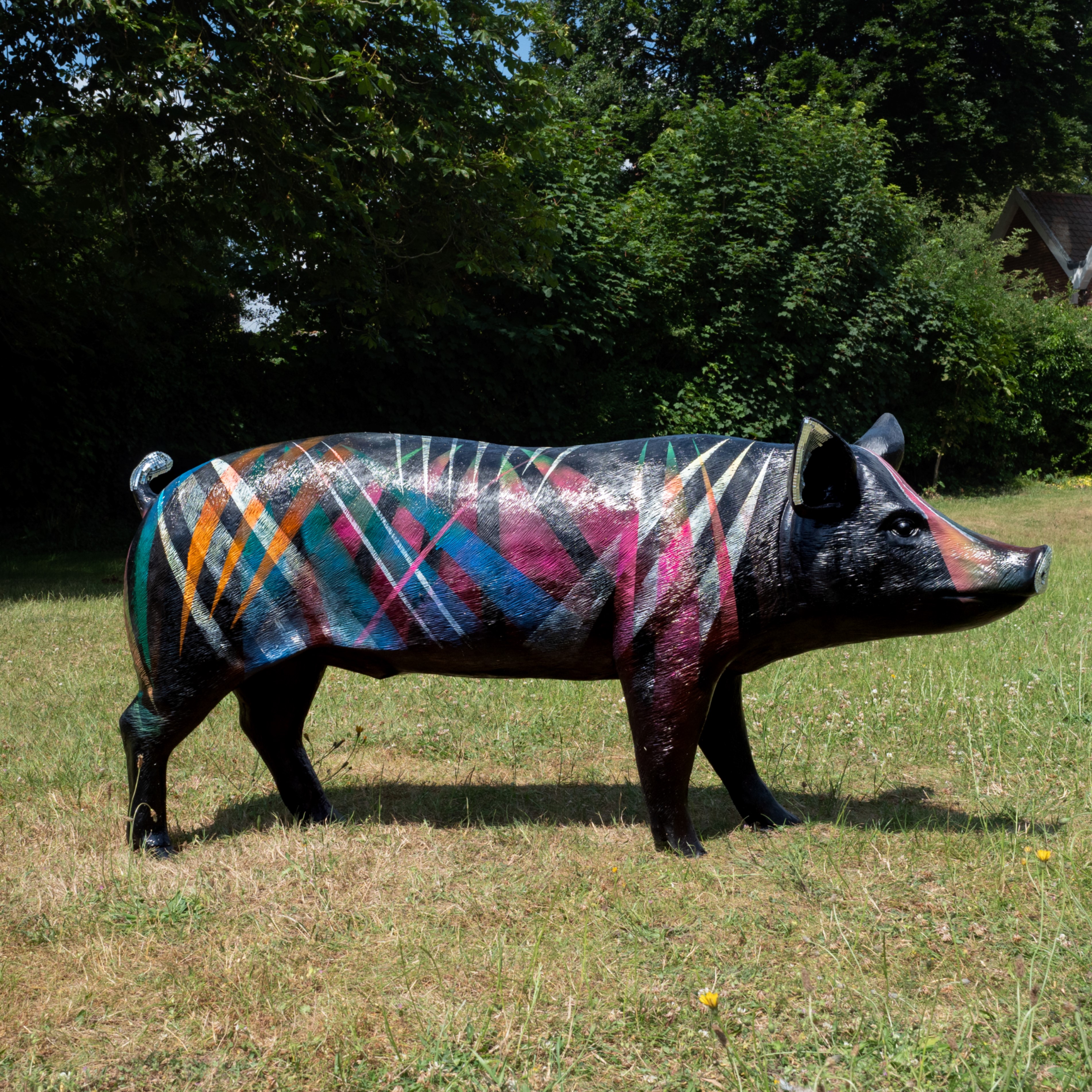 Disco Pig - Image 3 of 7