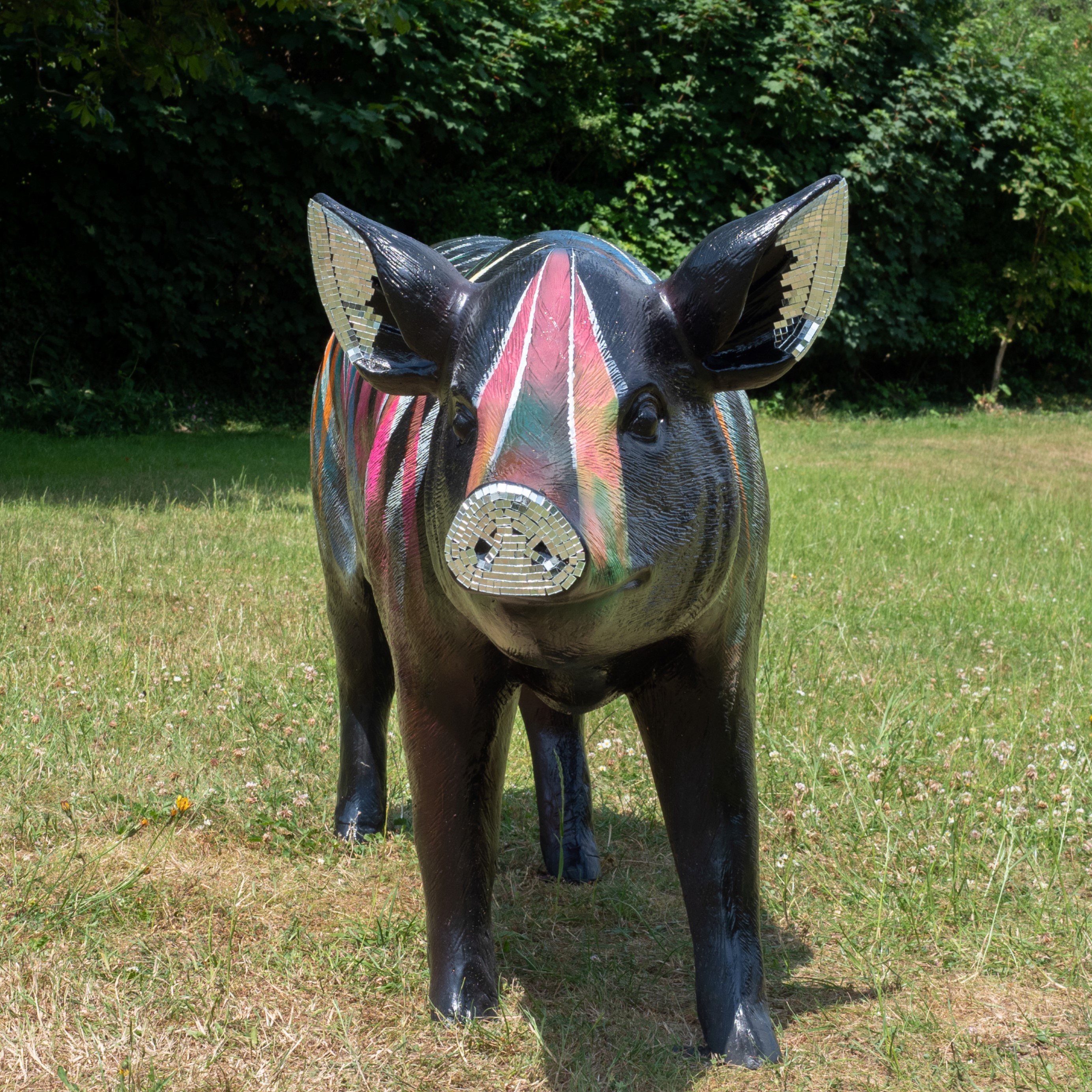 Disco Pig