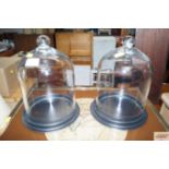 Two glass domes on stand