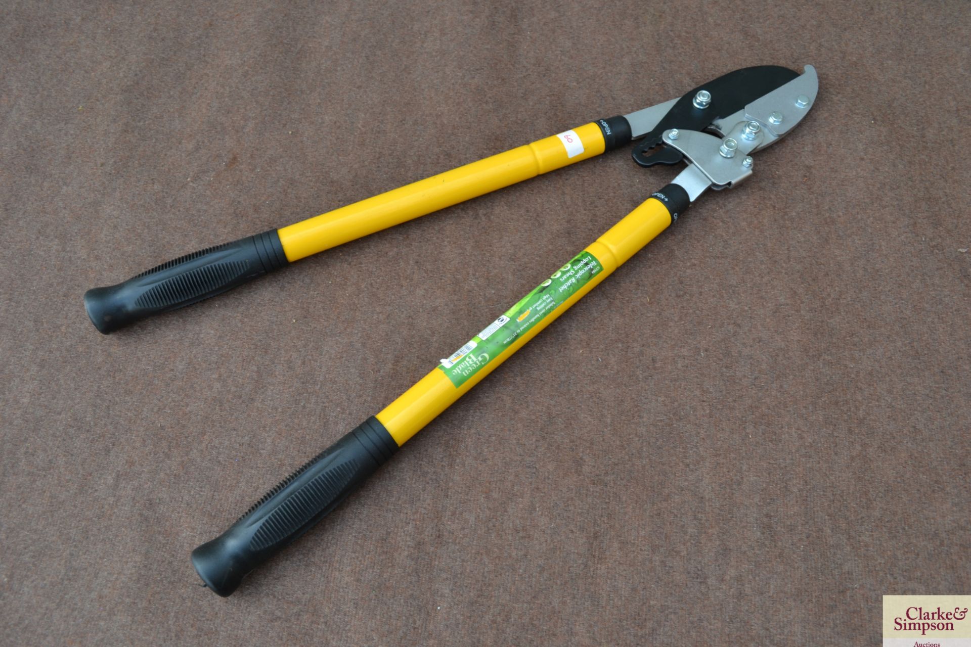 Telescopic ratchet loppers. V