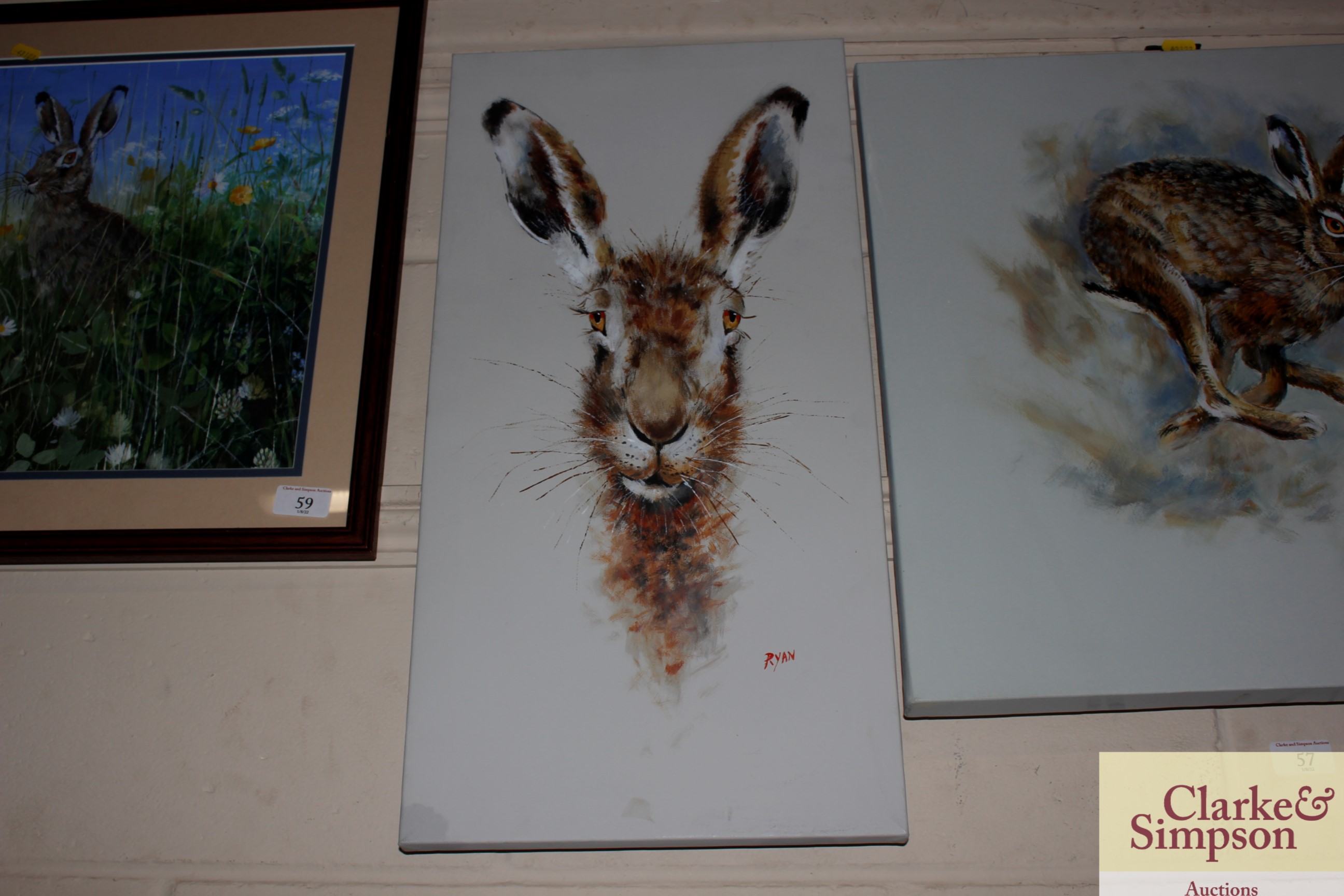 John Ryan, acrylic study of a hare