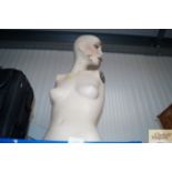 A mannequin torso (AF)