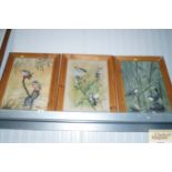 Peter R Holmes; three studies depicting birds