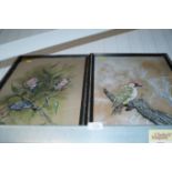 Peter R Holmes; two studies of birds