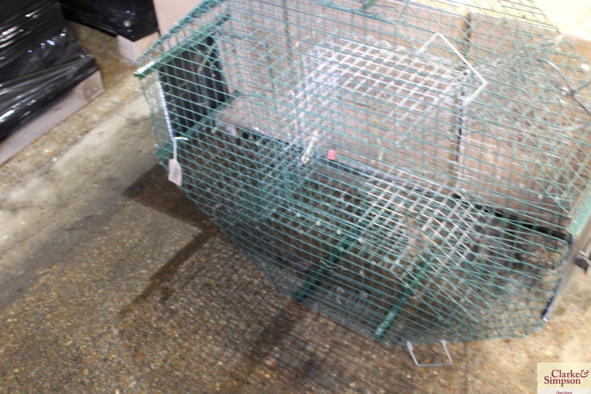 Round crow/ magpie trap and a rat trap. - Image 4 of 4