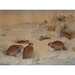 R.W. Milliken, study of partridges in winter, signed watercolour, 53cm x 72cm