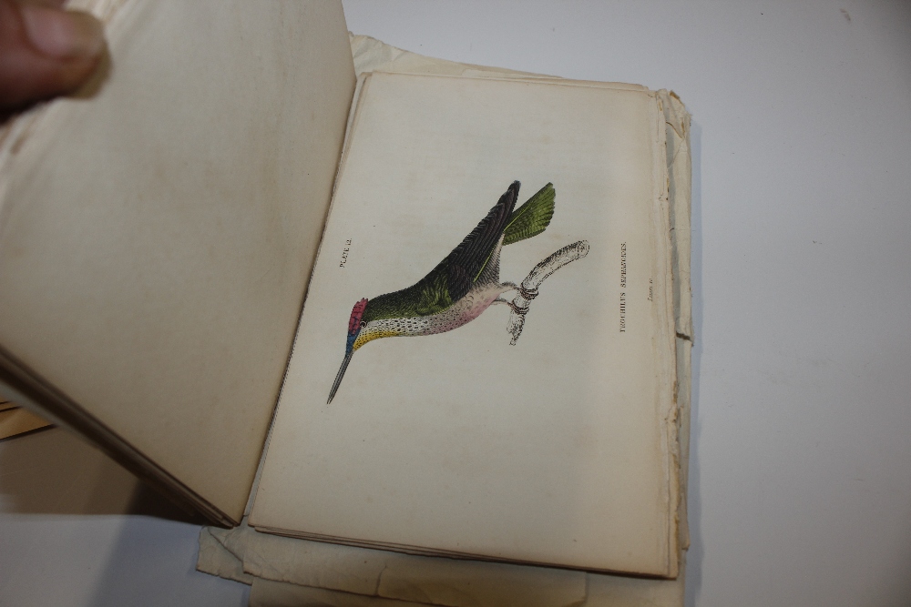 A collection of various botanical and natural hist - Image 8 of 21