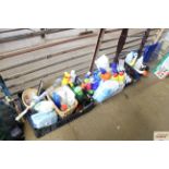 A quantity of various cleaning products, ant kille