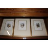 A set of twelve framed and glazed prints after Mil