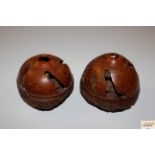 Two carved Brazil nuts