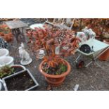 A large terracotta pot with fluted top and step-ri