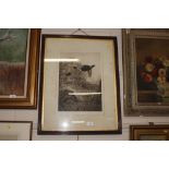 A pencil signed Archibald Thorburn print depictin