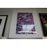 A photographic print of cherry blossom
