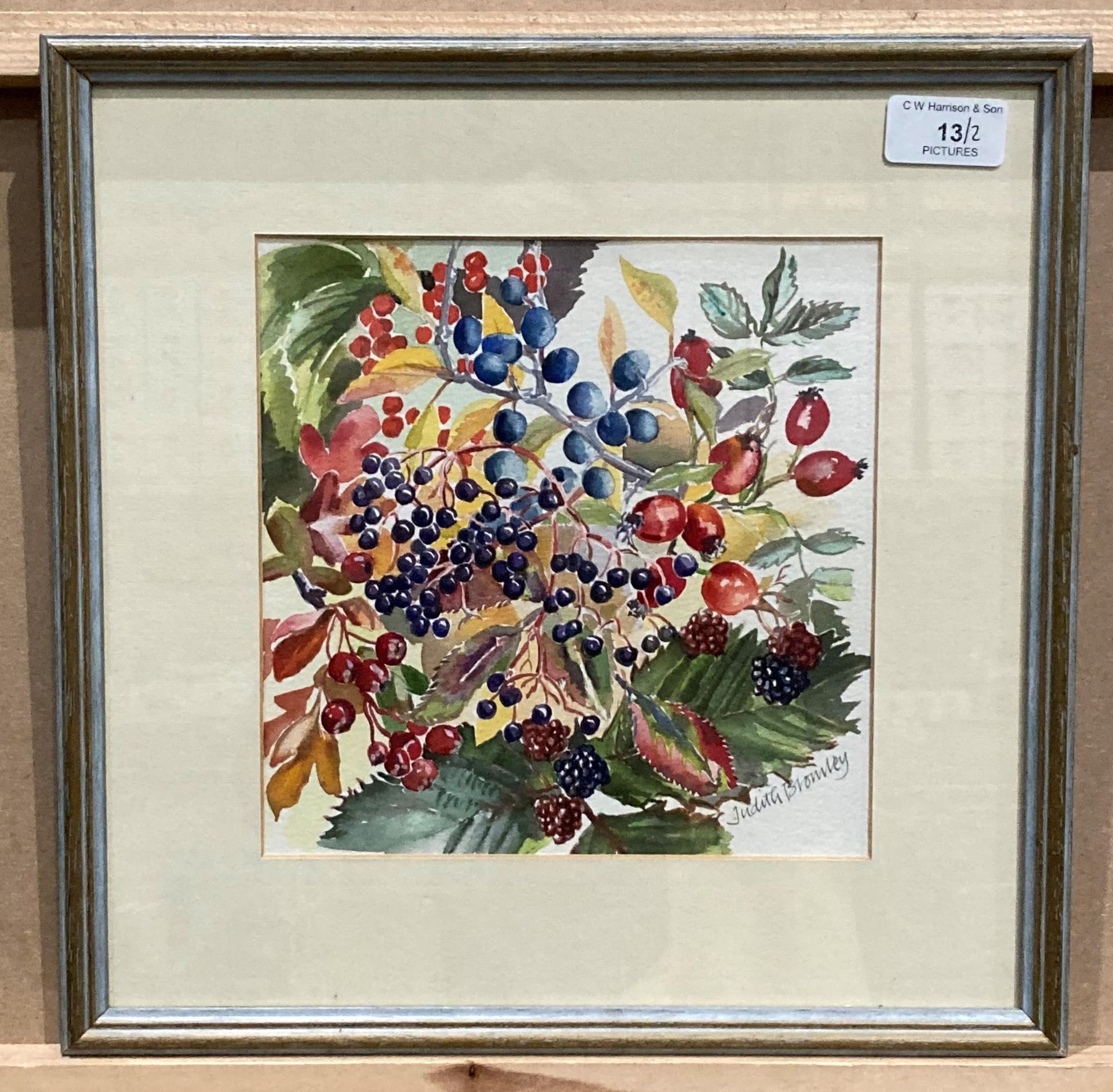 Judith Bromley two small framed watercolours 'Bowl of Wild Fruits' and 'Wild Harvest' - both signed - Image 2 of 5