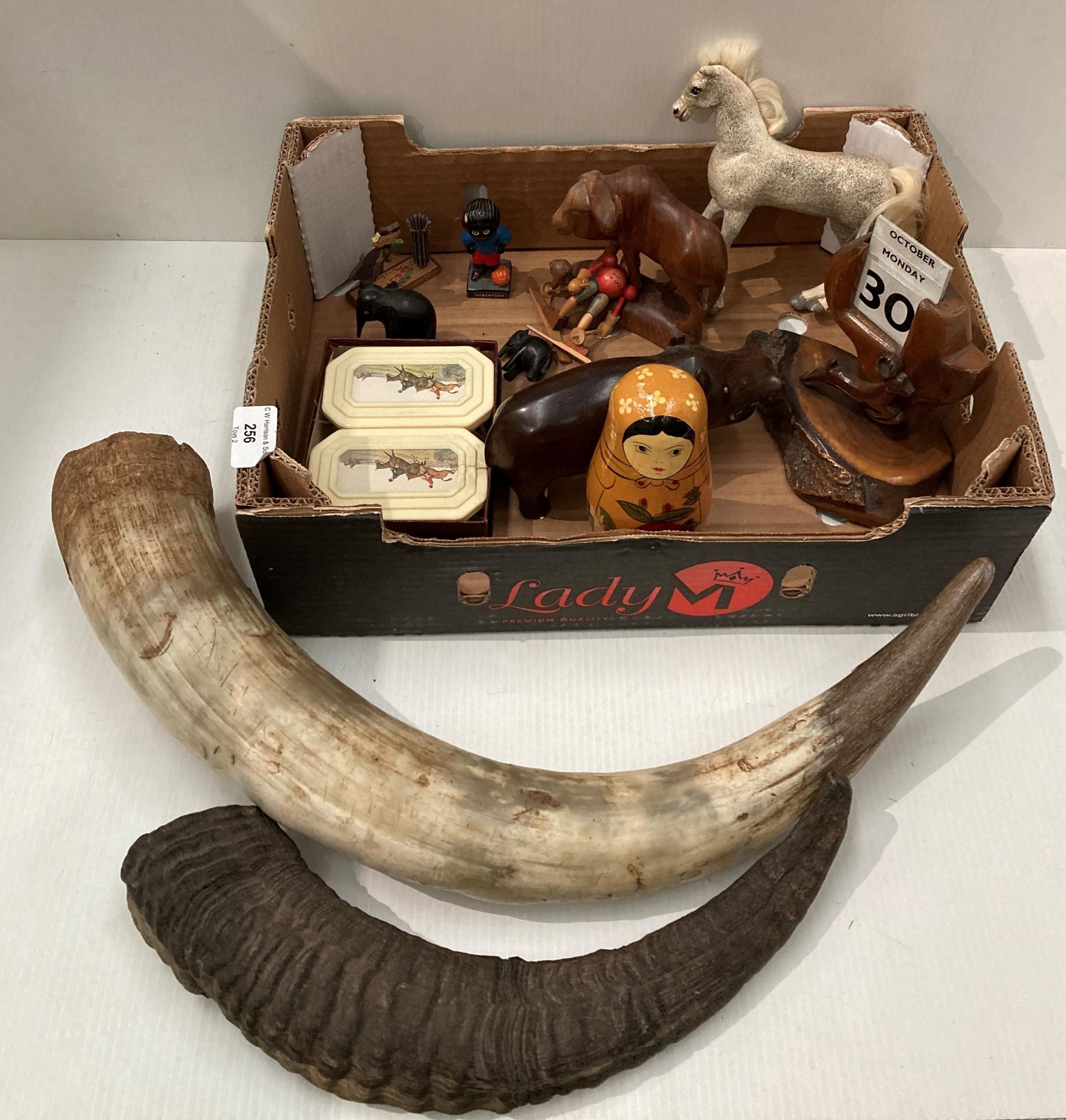 Contents to box - a 60cm long bull horn,