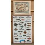 A large framed print, Sea Fish, 100cm x 68cm and Tricia Kaye painting on board, Trout on a Plate,