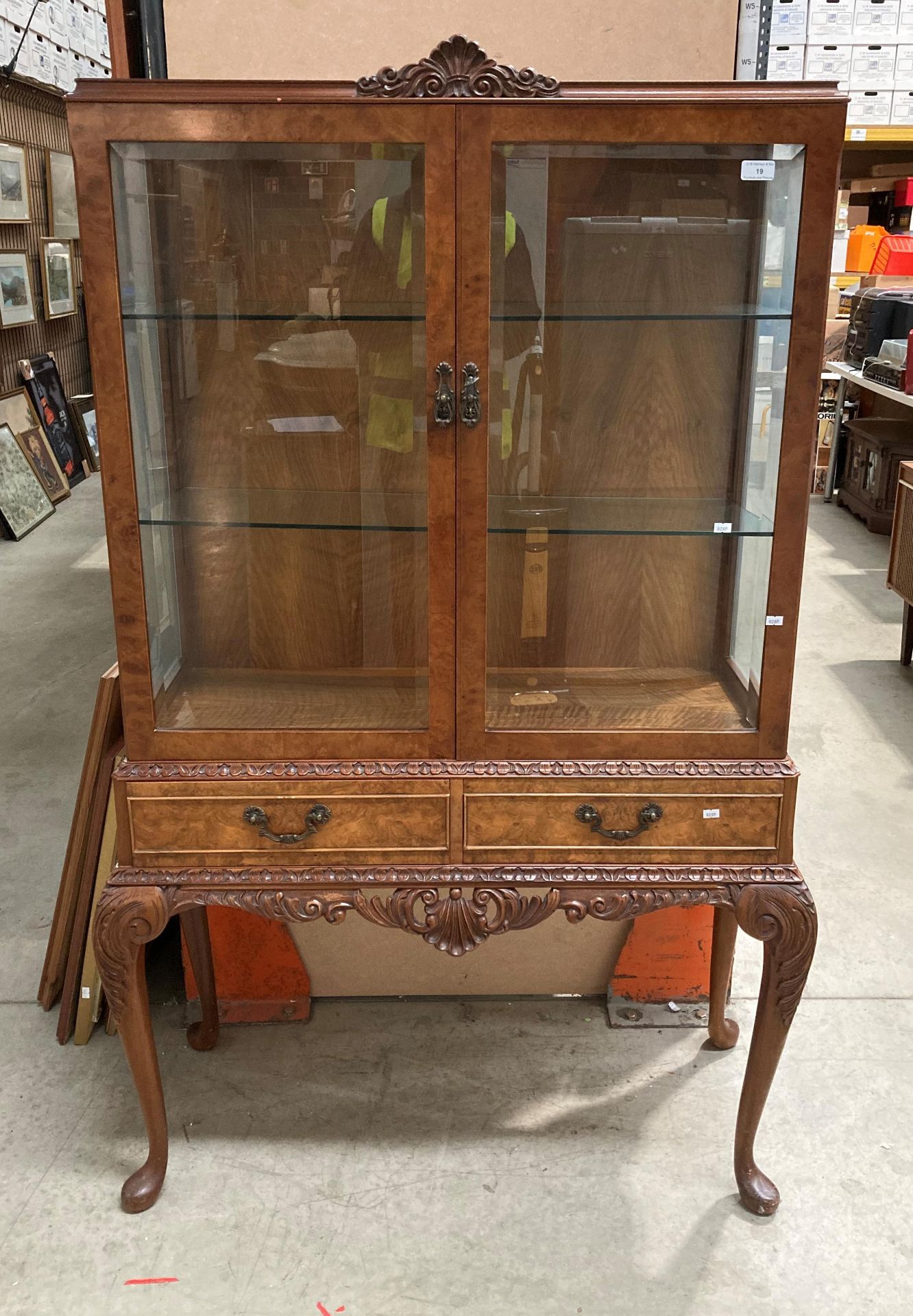 A burr walnut display cabinet with two upper glazed doors over two drawers on cabriole legs,