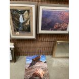 Two framed American Park prints 'Yellowstone' 60 x 46cm and 'Grand Canyon National Park' 46 x 60cm,