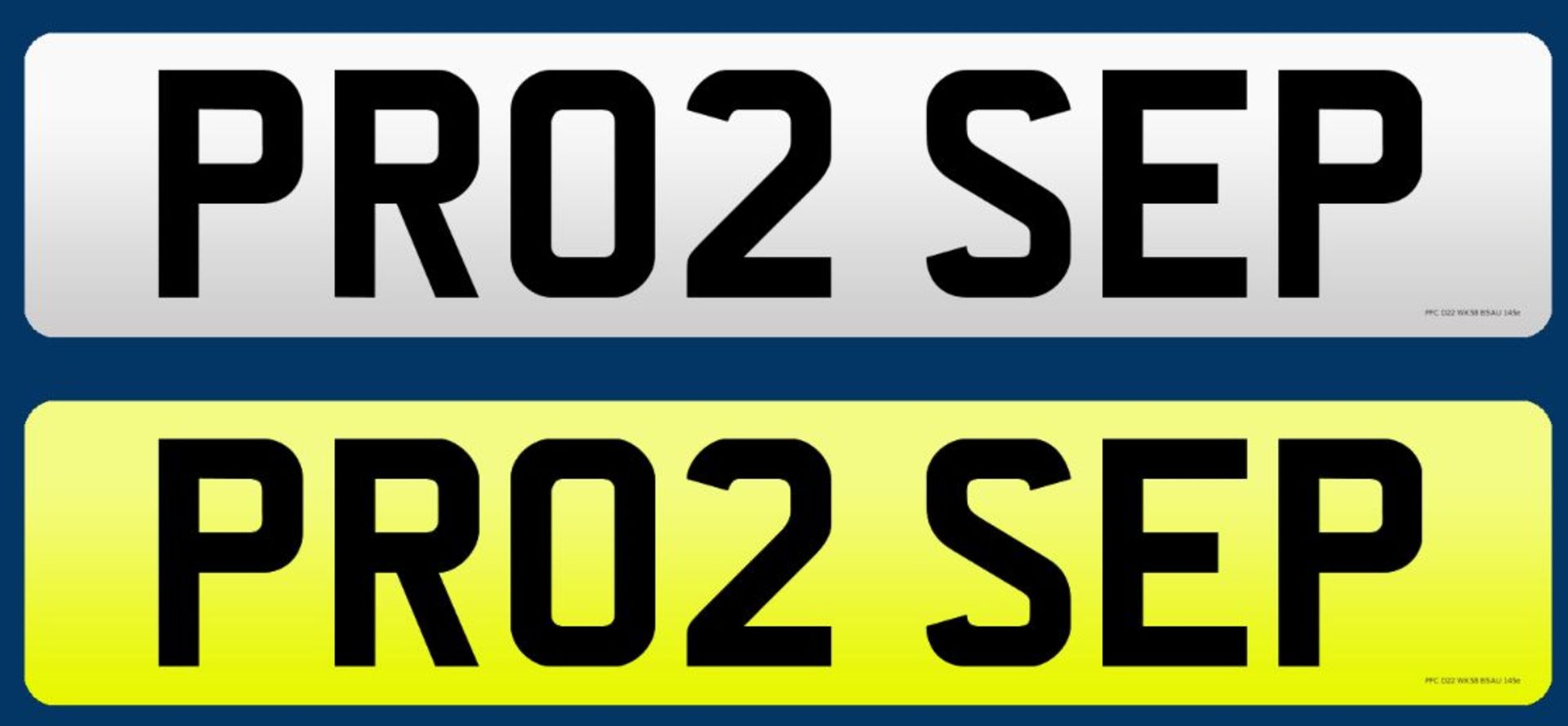 CHERISHED REGISTRATION NUMBER: PR02 SEP. Complete with retention document, must be assigned by 05.