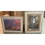 Two framed American Park prints 'Yellowstone' 60 x 46cm and 'Grand Canyon National Park' 46 x 60cm,