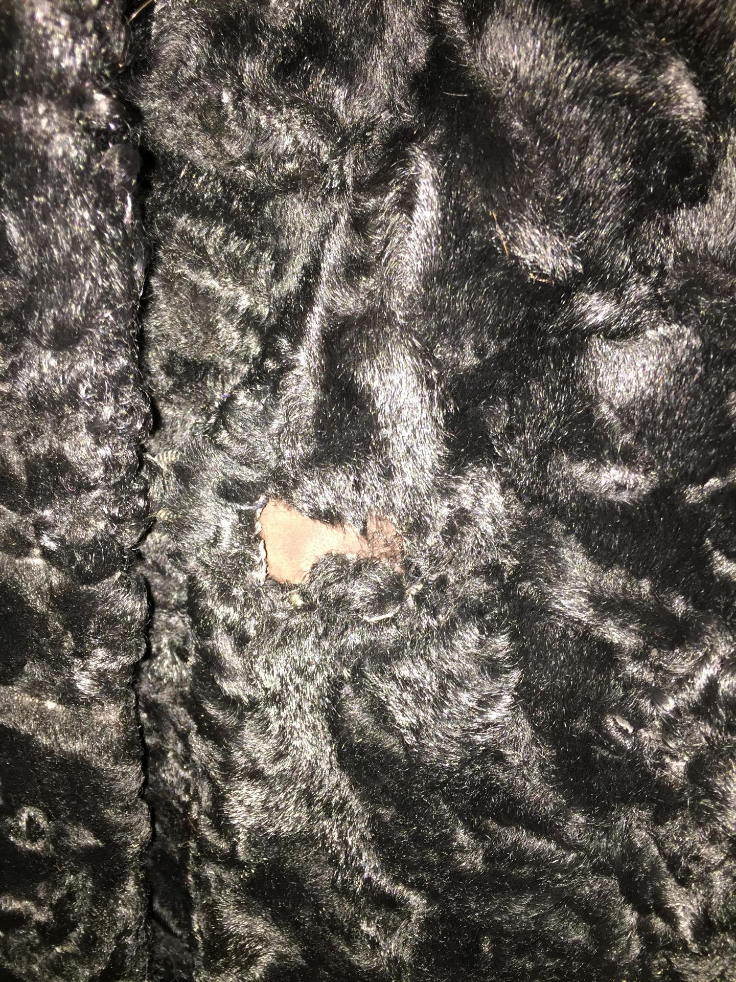 Ross Furriers black Persian Lamb three quarter length coat (hole to front) (Saleroom location: - Image 2 of 2