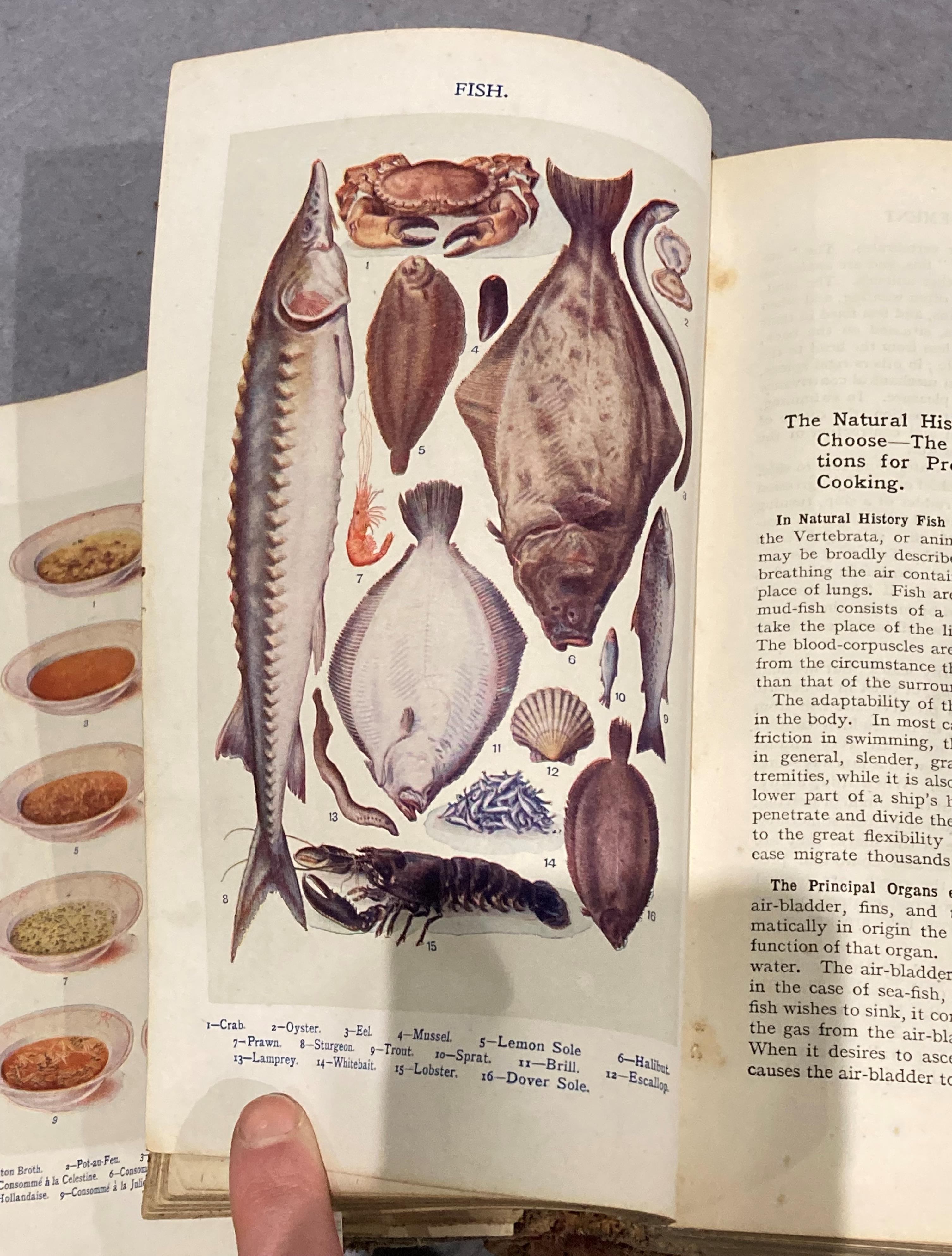 Mrs Beeton's Book of Household Management circa 1900 (Sold as seen) - Image 8 of 9