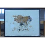 A large framed watercolour study of a tiger, indistinctly signed,