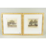 A pair of framed prints signed by Kathleen Caddick 'Shaddows' 21/100 plus 'Country Walk' 20/150