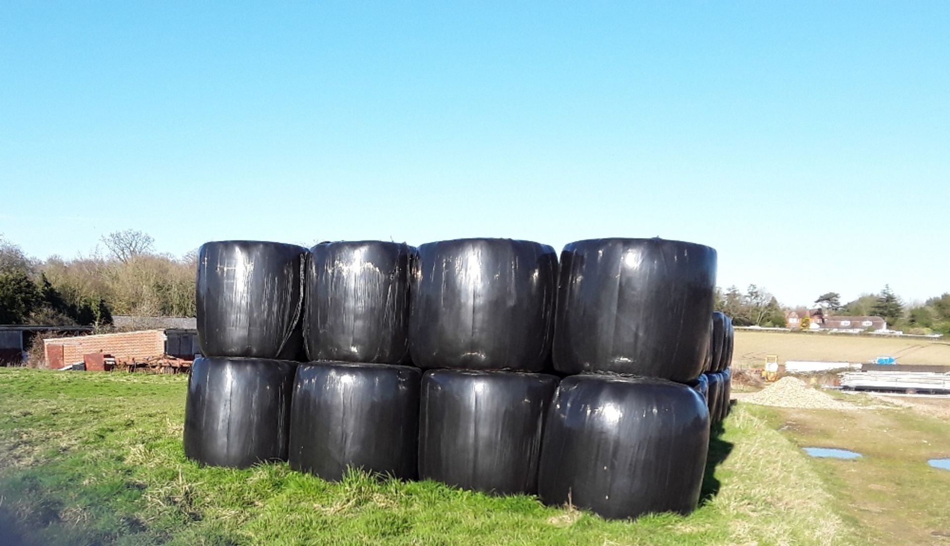 50 x 4ft round bales of 2021 dry haylage. Stored near Arminghall, Norwich. No VAT on this lot. - Image 3 of 4