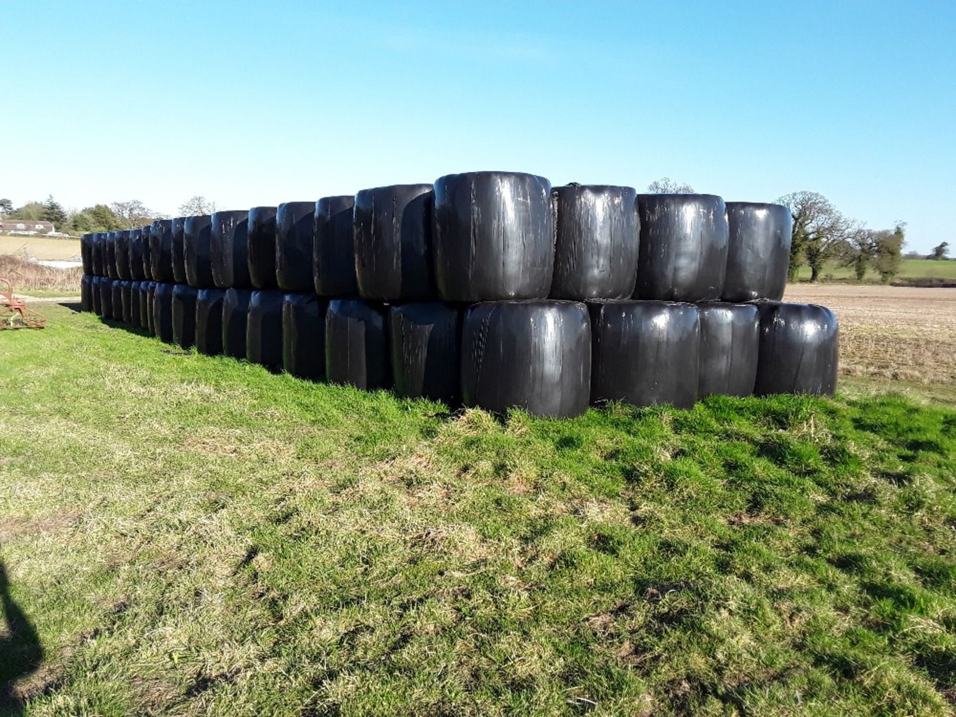 50 x 4ft round bales of 2021 dry haylage. Stored near Arminghall, Norwich. No VAT on this lot.