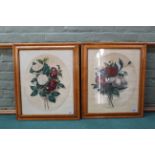 A pair of maple framed late 19th Century botanical watercolour studies