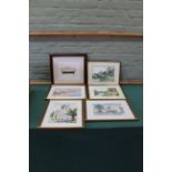 A collection of framed prints including continental scenes and quirky Victorian bath prints