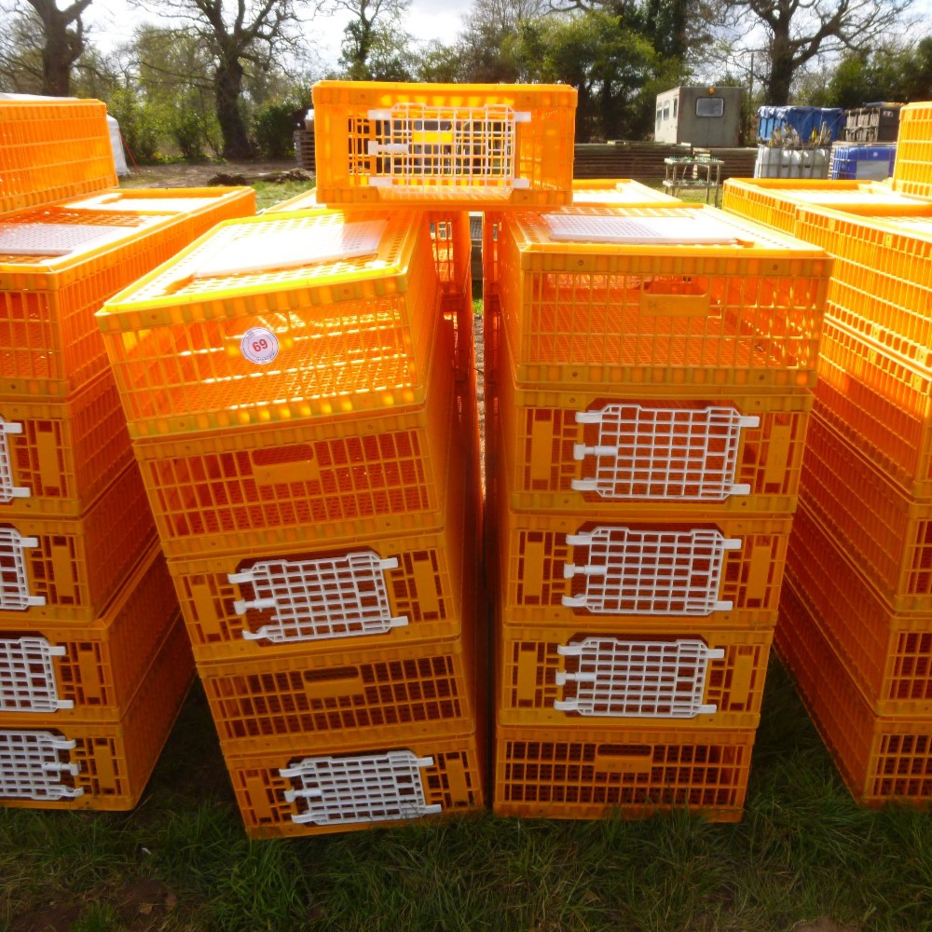21 x D3 Giordano poultry crates