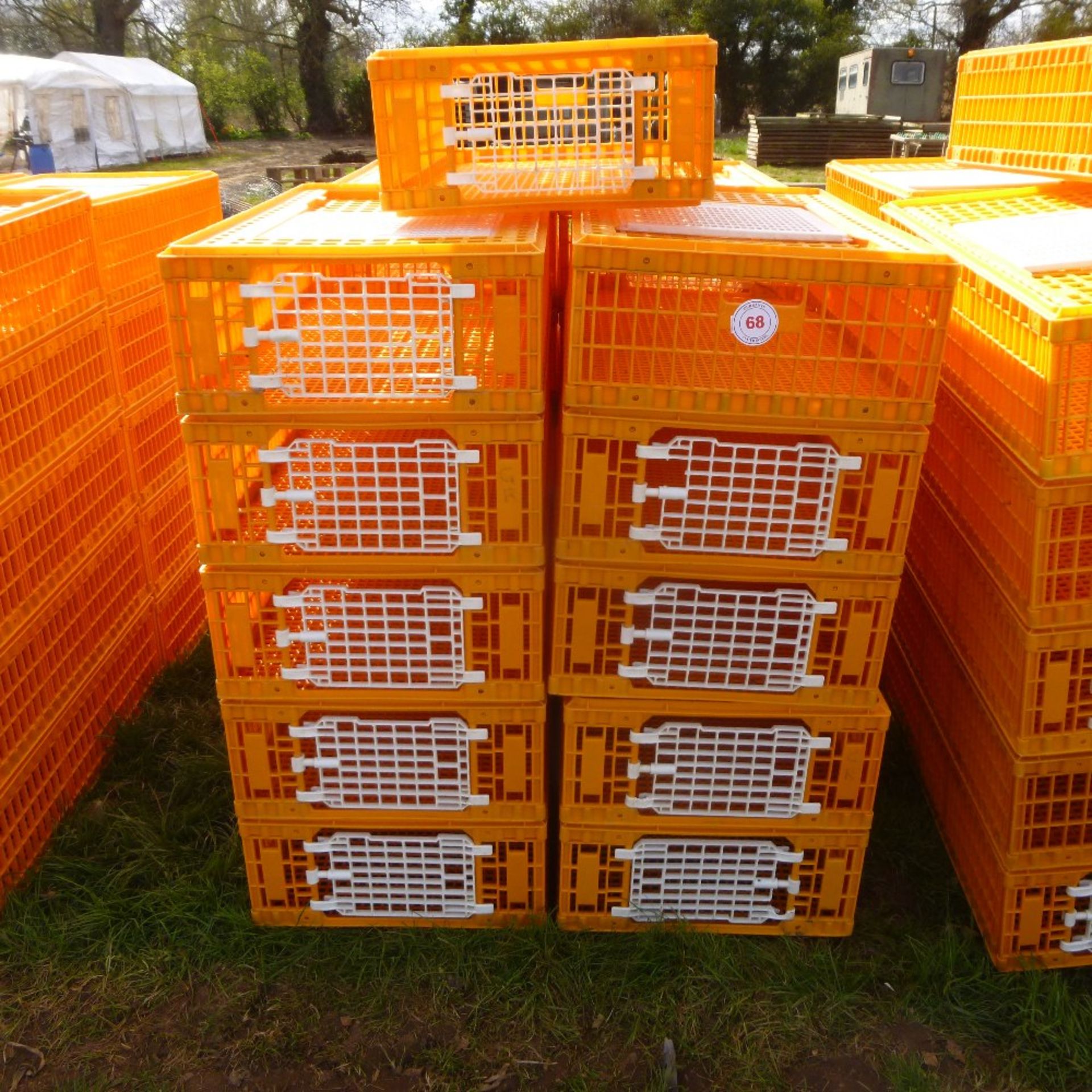 20 x D3 Giordano poultry crates