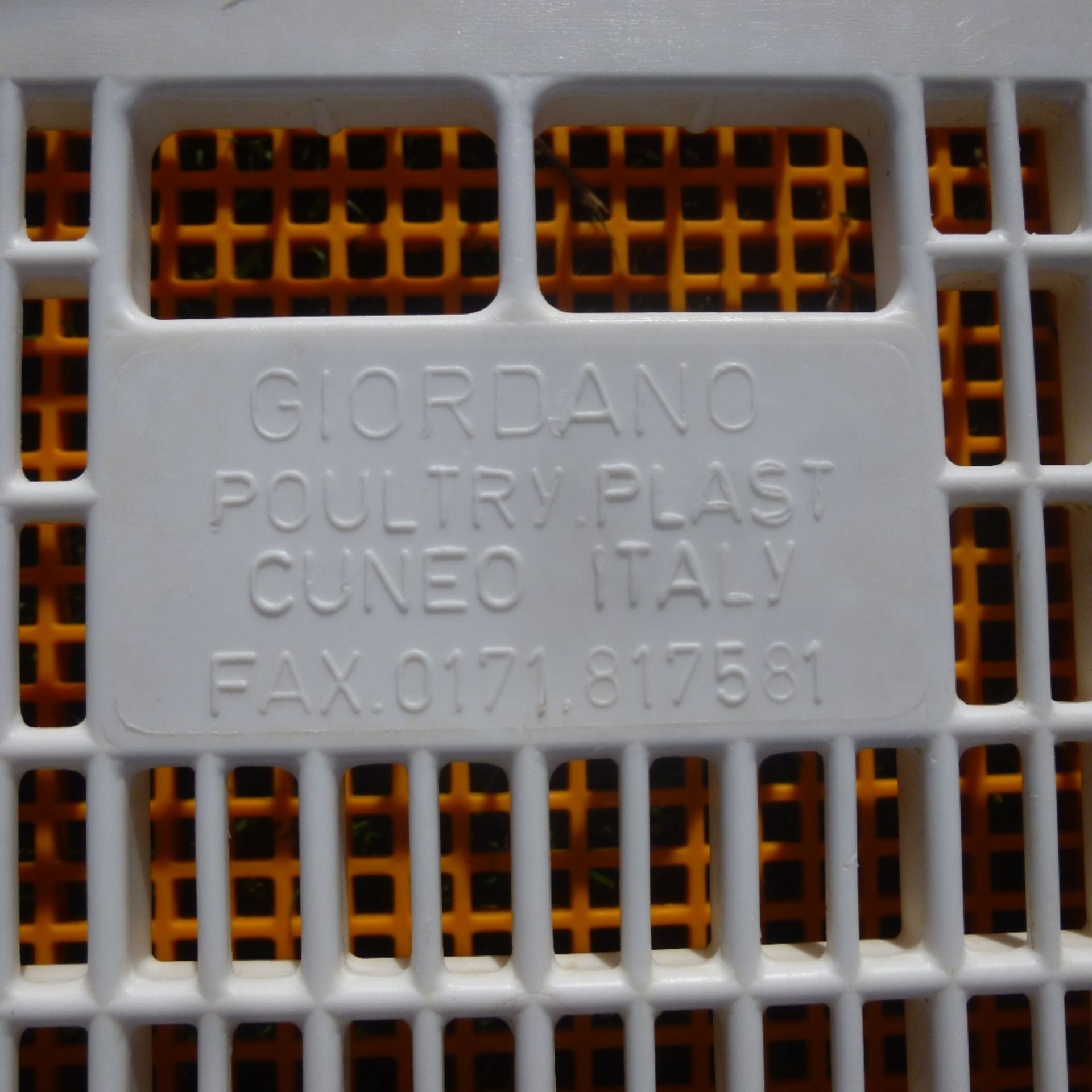 21 x D3 Giordano poultry crates - Image 3 of 3