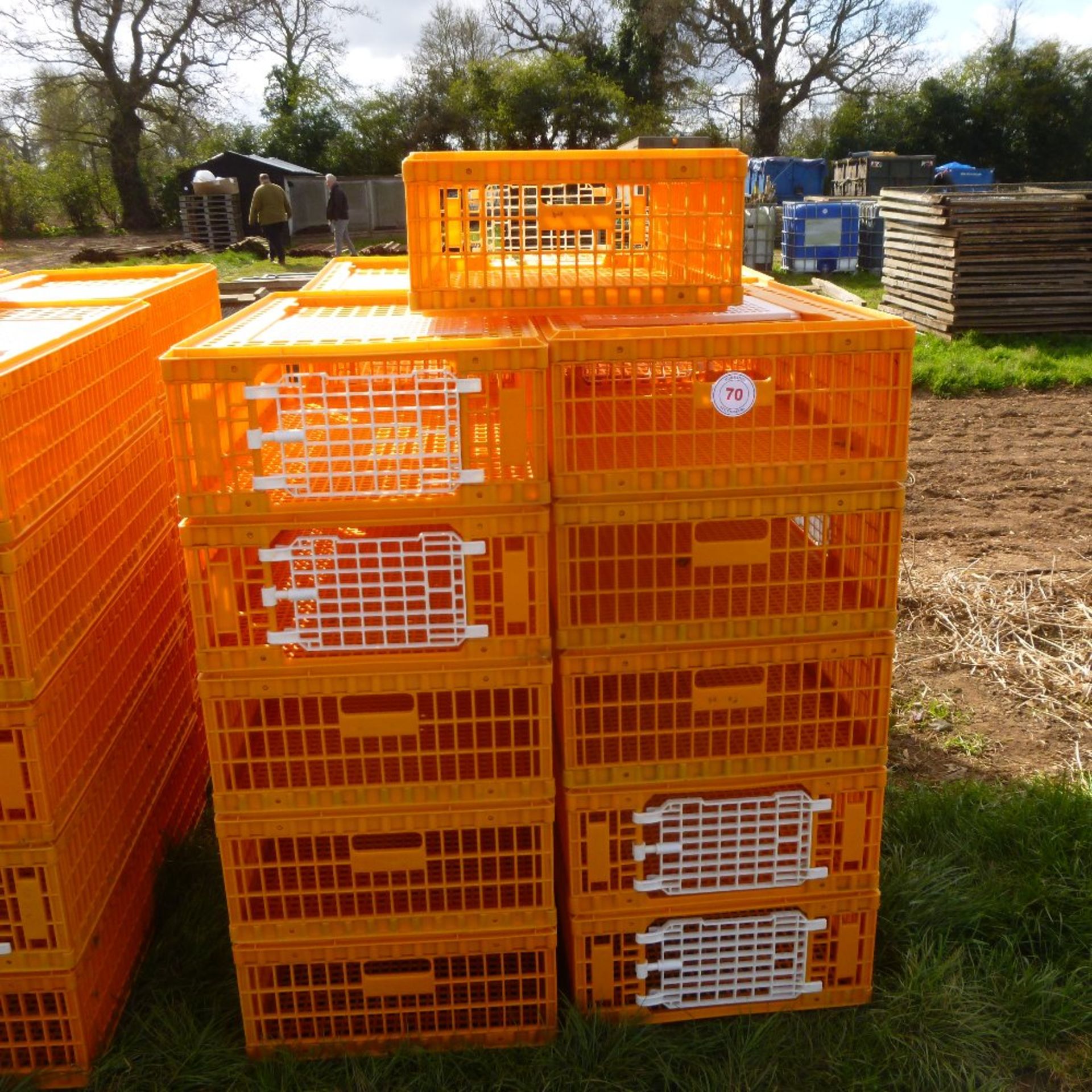 21 x D3 Giordano poultry crates